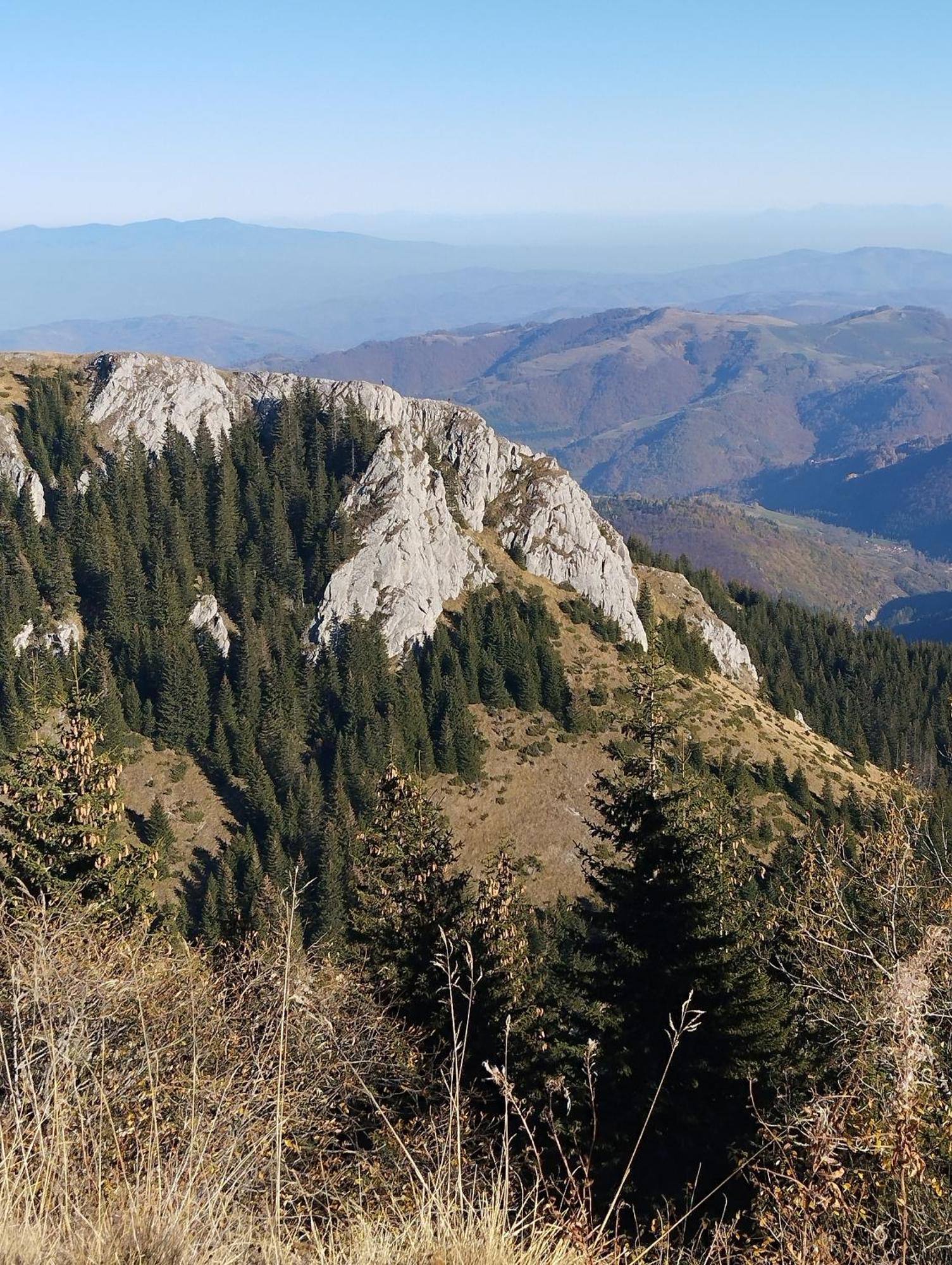 Appartamento Lela Kop Kopaonik Esterno foto